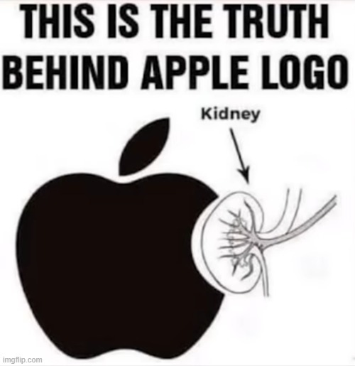 image tagged in memes | made w/ Imgflip meme maker