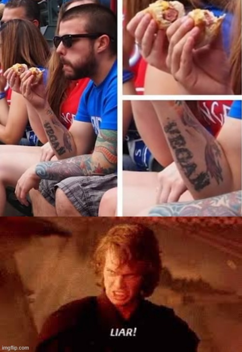 anakin liar | image tagged in anakin liar | made w/ Imgflip meme maker