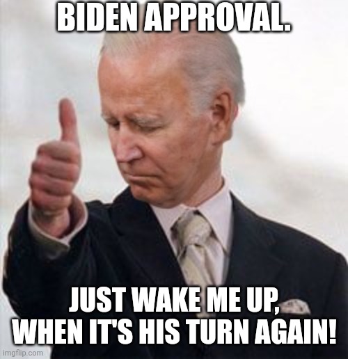 BIDEN APPROVAL. JUST WAKE ME UP, WHEN IT'S HIS TURN AGAIN! | made w/ Imgflip meme maker
