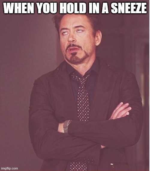 free Whey | WHEN YOU HOLD IN A SNEEZE | image tagged in memes,face you make robert downey jr | made w/ Imgflip meme maker
