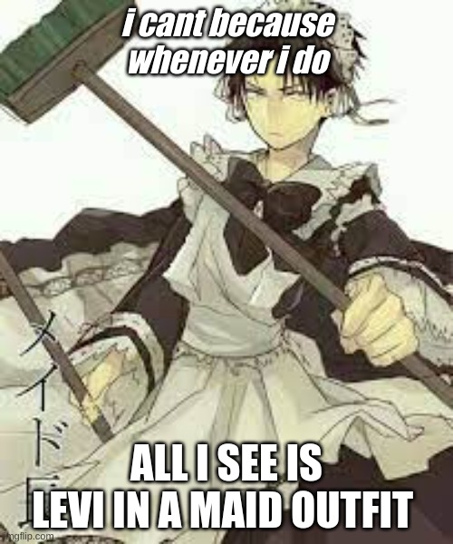 reasons you can't do something | i cant because whenever i do; ALL I SEE IS LEVI IN A MAID OUTFIT | image tagged in levi,anime,aot,cleaning | made w/ Imgflip meme maker