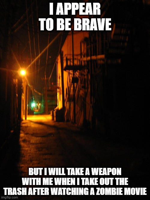 Zombie fear | I APPEAR TO BE BRAVE; BUT I WILL TAKE A WEAPON WITH ME WHEN I TAKE OUT THE TRASH AFTER WATCHING A ZOMBIE MOVIE | image tagged in zombie,movie,take out the trash,zombies,brave | made w/ Imgflip meme maker