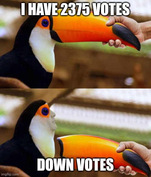 Why? | I HAVE 2375 VOTES; DOWN VOTES | image tagged in toucan beak,downvote | made w/ Imgflip meme maker