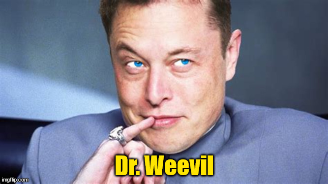 MUSK | Dr. Weevil | image tagged in dr evil | made w/ Imgflip meme maker