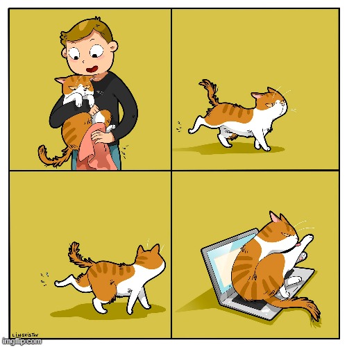 A Cat's Way Of Thinking | image tagged in memes,comics,cats,wipe,butt,laptop | made w/ Imgflip meme maker