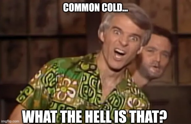 COMMON COLD... WHAT THE HELL IS THAT? | made w/ Imgflip meme maker