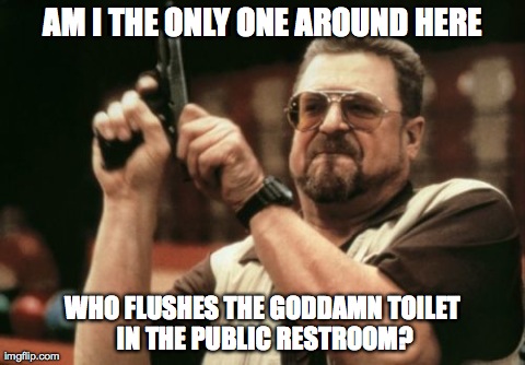 Am I The Only One Around Here | AM I THE ONLY ONE AROUND HERE WHO FLUSHES THE GODDAMN TOILET IN THE PUBLIC RESTROOM? | image tagged in memes,am i the only one around here,AdviceAnimals | made w/ Imgflip meme maker