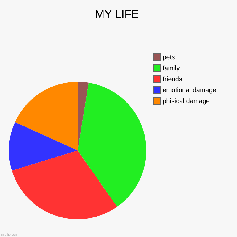 MY LIFE | phisical damage, emotional damage, friends, family, pets | image tagged in charts,pie charts | made w/ Imgflip chart maker