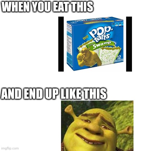 Shreck | WHEN YOU EAT THIS; AND END UP LIKE THIS | image tagged in shrek,poptart | made w/ Imgflip meme maker