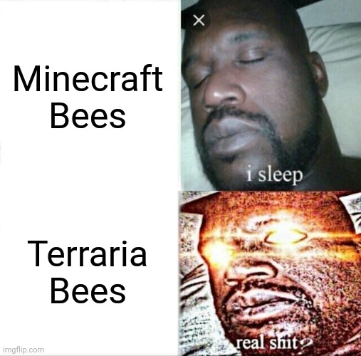 Sleeping Shaq | Minecraft Bees; Terraria Bees | image tagged in memes,sleeping shaq | made w/ Imgflip meme maker