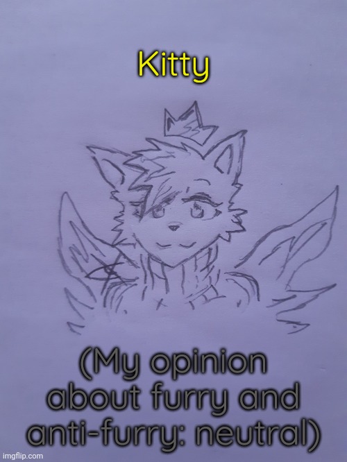 Kitty | Kitty; (My opinion about furry and anti-furry: neutral) | image tagged in kitty | made w/ Imgflip meme maker