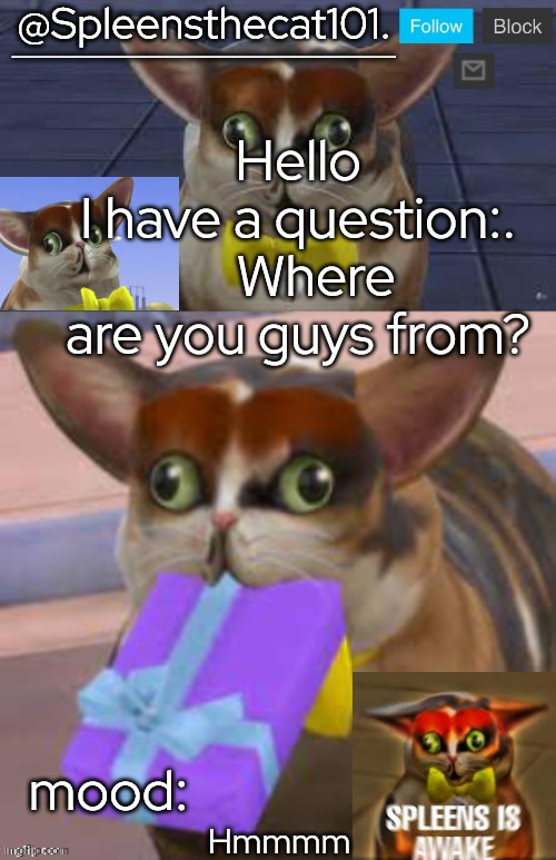 Yes | Hello
I have a question:.    Where are you guys from? Hmmmm | image tagged in spleensthecat101 | made w/ Imgflip meme maker