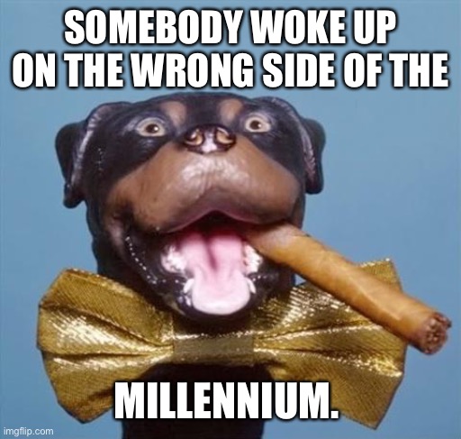 Triumph the Insult Comic Dog | SOMEBODY WOKE UP ON THE WRONG SIDE OF THE MILLENNIUM. | image tagged in triumph the insult comic dog | made w/ Imgflip meme maker