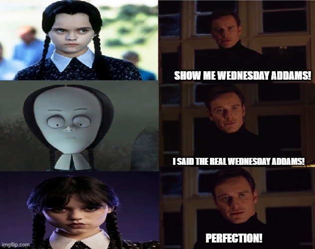 The REAL Wednesday Addams | SHOW ME WEDNESDAY ADDAMS! I SAID THE REAL WEDNESDAY ADDAMS! PERFECTION! | image tagged in perfection,wednesday addams | made w/ Imgflip meme maker