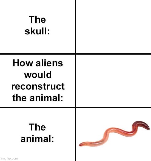Lol | image tagged in comics/cartoons | made w/ Imgflip meme maker