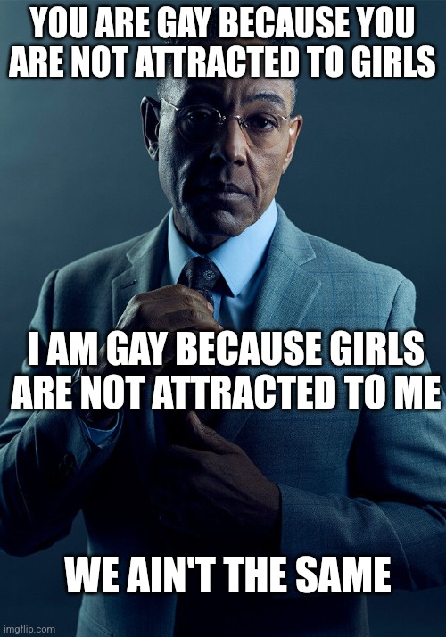 Gus Fring we are not the same | YOU ARE GAY BECAUSE YOU ARE NOT ATTRACTED TO GIRLS; I AM GAY BECAUSE GIRLS ARE NOT ATTRACTED TO ME; WE AIN'T THE SAME | image tagged in gus fring we are not the same | made w/ Imgflip meme maker