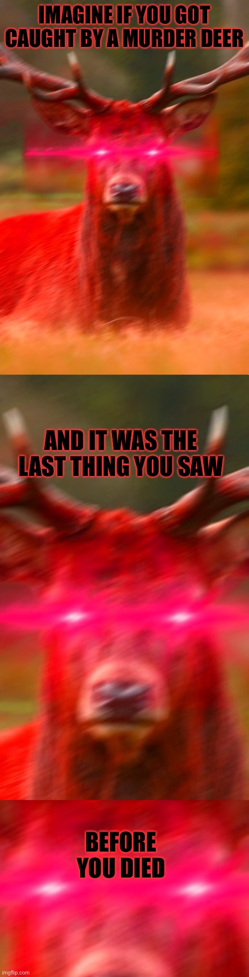 IMAGINE IF YOU GOT CAUGHT BY A MURDER DEER; AND IT WAS THE LAST THING YOU SAW; BEFORE YOU DIED | image tagged in deer begone thot | made w/ Imgflip meme maker