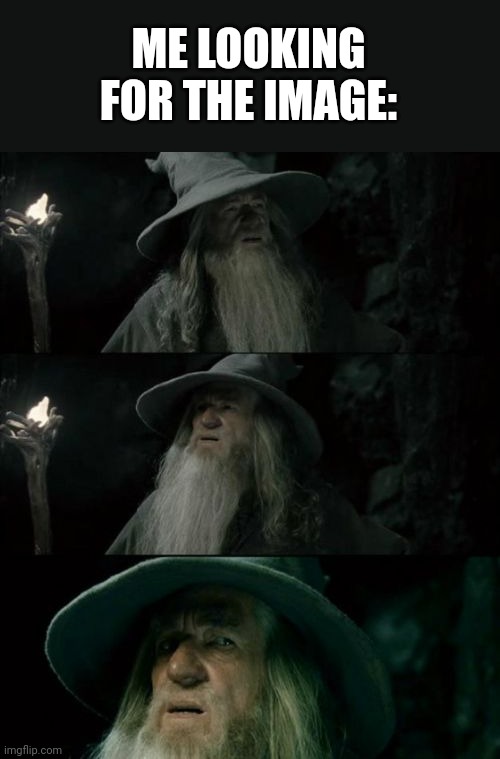 Confused Gandalf Meme | ME LOOKING FOR THE IMAGE: | image tagged in memes,confused gandalf | made w/ Imgflip meme maker