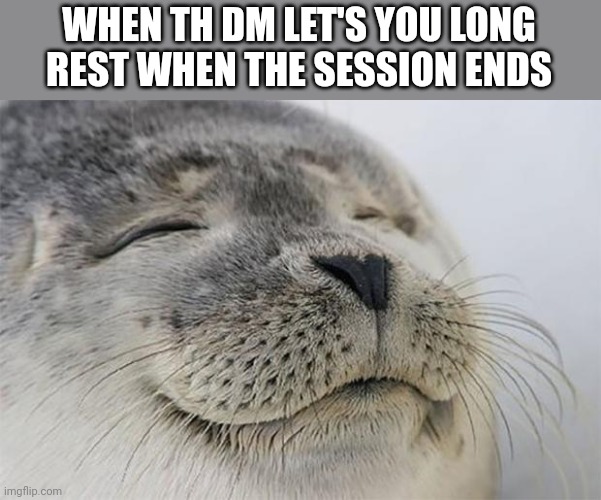 Rest | WHEN TH DM LET'S YOU LONG REST WHEN THE SESSION ENDS | image tagged in memes,satisfied seal | made w/ Imgflip meme maker