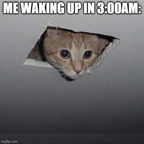 Ceiling Cat | ME WAKING UP IN 3:00AM: | image tagged in memes,ceiling cat | made w/ Imgflip meme maker