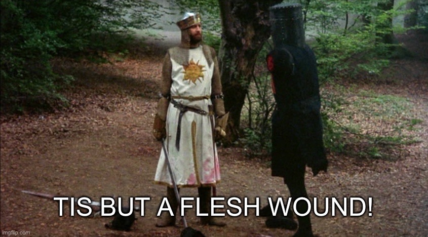 Tis but a scratch | TIS BUT A FLESH WOUND! | image tagged in tis but a scratch | made w/ Imgflip meme maker