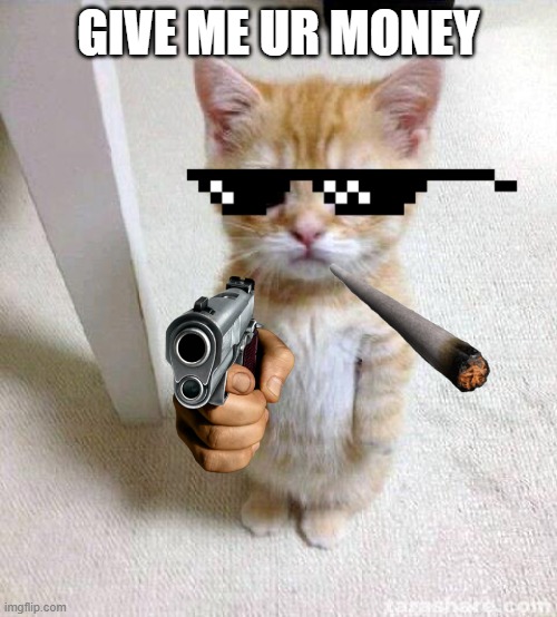 oh | GIVE ME UR MONEY | image tagged in memes,cute cat | made w/ Imgflip meme maker