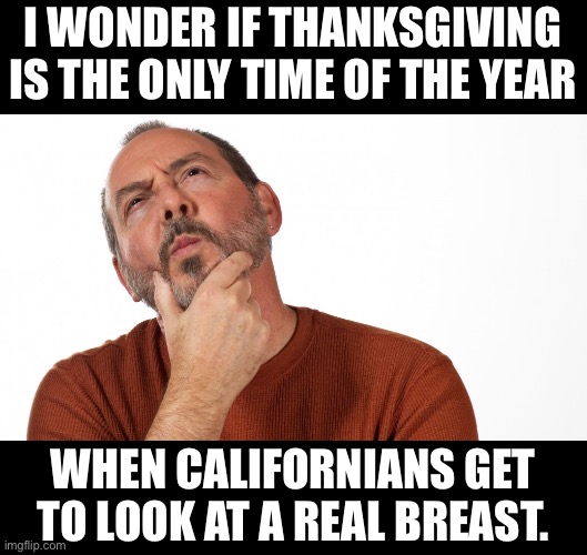 California Dreamin’ | I WONDER IF THANKSGIVING IS THE ONLY TIME OF THE YEAR; WHEN CALIFORNIANS GET TO LOOK AT A REAL BREAST. | image tagged in hmmm | made w/ Imgflip meme maker