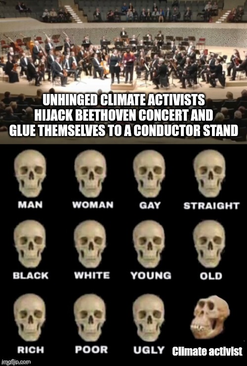 Happened in Hamburg, Germany.  | UNHINGED CLIMATE ACTIVISTS HIJACK BEETHOVEN CONCERT AND GLUE THEMSELVES TO A CONDUCTOR STAND; Climate activist | image tagged in idiot skull | made w/ Imgflip meme maker