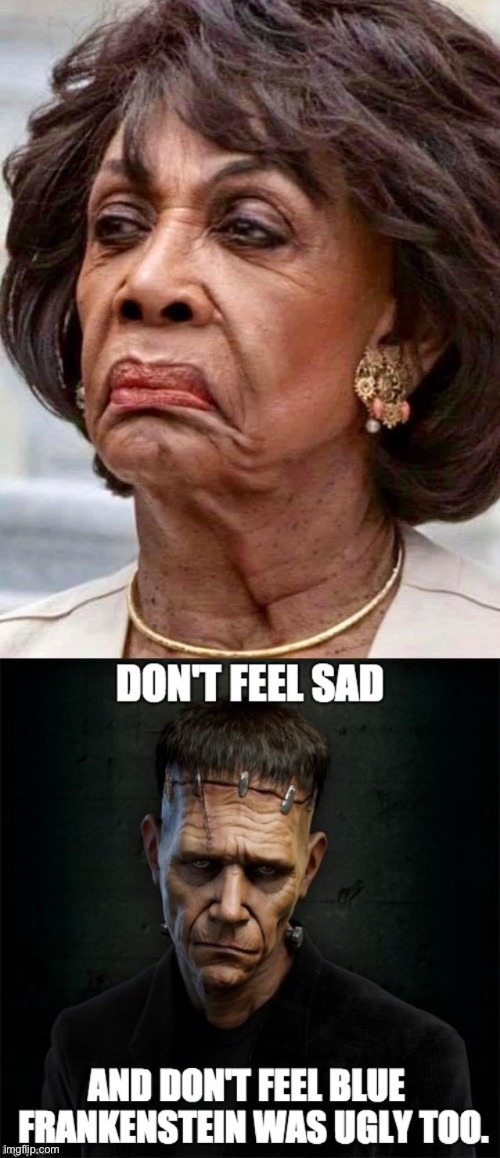 Fugly | image tagged in maxine waters | made w/ Imgflip meme maker