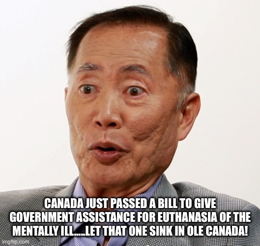 george takei oh my | CANADA JUST PASSED A BILL TO GIVE GOVERNMENT ASSISTANCE FOR EUTHANASIA OF THE MENTALLY ILL…..LET THAT ONE SINK IN OLE CANADA! | image tagged in george takei oh my | made w/ Imgflip meme maker