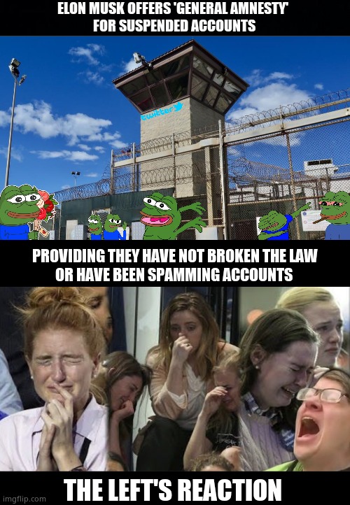 Elon's Twitter Amnesty | ELON MUSK OFFERS 'GENERAL AMNESTY'
 FOR SUSPENDED ACCOUNTS; PROVIDING THEY HAVE NOT BROKEN THE LAW
OR HAVE BEEN SPAMMING ACCOUNTS; THE LEFT'S REACTION | image tagged in memes,twitter,left wing,liberals,pepe the frog,political meme | made w/ Imgflip meme maker