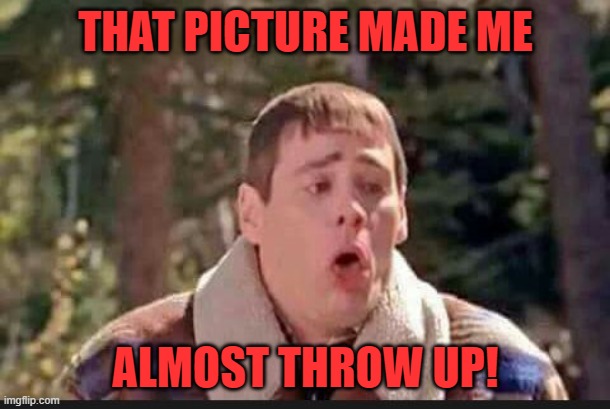 Lloyd almost throwing up | THAT PICTURE MADE ME ALMOST THROW UP! | image tagged in lloyd almost throwing up | made w/ Imgflip meme maker