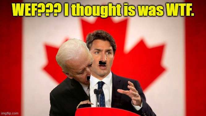 Justin Trudeau | WEF??? I thought is was WTF. | image tagged in justin trudeau | made w/ Imgflip meme maker