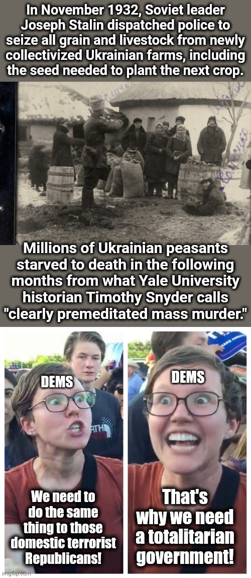 November 26 is the day to remember the Holodomor | In November 1932, Soviet leader Joseph Stalin dispatched police to seize all grain and livestock from newly
collectivized Ukrainian farms, including
the seed needed to plant the next crop. Millions of Ukrainian peasants
starved to death in the following
months from what Yale University
historian Timothy Snyder calls
"clearly premeditated mass murder."; DEMS; DEMS; That's why we need a totalitarian government! We need to do the same thing to those domestic terrorist
Republicans! | image tagged in social justice warrior hypocrisy,memes,democrats,holodomor,famine,communism | made w/ Imgflip meme maker