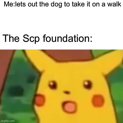 Surprised Pikachu | Me:lets out the dog to take it on a walk; The Scp foundation: | image tagged in memes,surprised pikachu | made w/ Imgflip meme maker