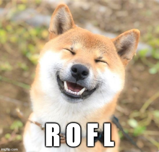 ROFL | R O F L | image tagged in shiba lol | made w/ Imgflip meme maker