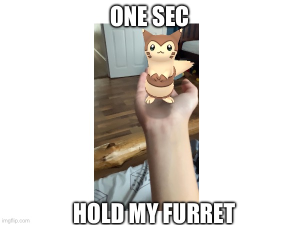 Hold it for a bit | ONE SEC; HOLD MY FURRET | image tagged in furret,pokemon,pokemon go | made w/ Imgflip meme maker