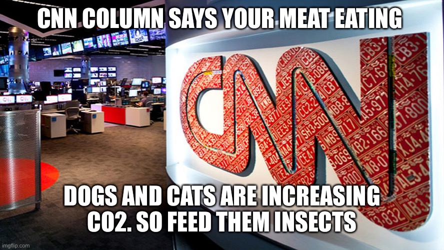 Really??? What next? | CNN COLUMN SAYS YOUR MEAT EATING; DOGS AND CATS ARE INCREASING CO2. SO FEED THEM INSECTS | image tagged in cnn,dogs,cats,co2 | made w/ Imgflip meme maker