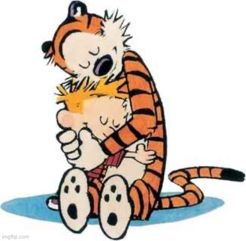 Calvin and Hobbes | image tagged in calvin and hobbes | made w/ Imgflip meme maker