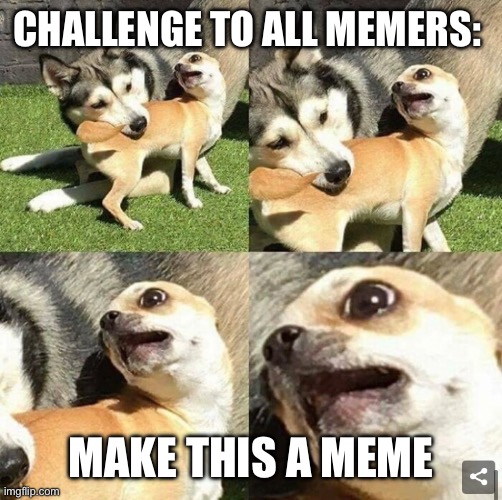 Please submit your memes in the comments | CHALLENGE TO ALL MEMERS:; MAKE THIS A MEME | image tagged in ahhhhhhhhhhhhh,google most random picture ever you will have fun | made w/ Imgflip meme maker