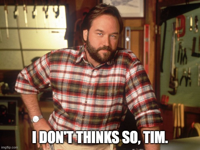 I don't think so, Tim | I DON'T THINKS SO, TIM. | image tagged in i don't think so tim | made w/ Imgflip meme maker