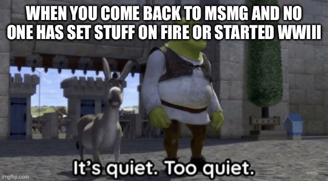 It’s quiet too quiet Shrek | WHEN YOU COME BACK TO MSMG AND NO ONE HAS SET STUFF ON FIRE OR STARTED WWIII | image tagged in it s quiet too quiet shrek | made w/ Imgflip meme maker