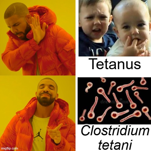 MICR 130 LCC Fall 2022 | Tetanus; Clostridium tetani | image tagged in memes,drake hotline bling | made w/ Imgflip meme maker