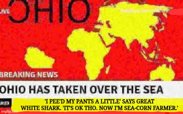 Wait, that's illegal | 'I PEE'D MY PANTS A LITTLE' SAYS GREAT WHITE SHARK. 'IT'S OK THO. NOW I'M SEA-CORN FARMER.' | image tagged in stop it patrick you're scaring him,ohio,takes over,the ocean | made w/ Imgflip meme maker
