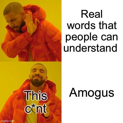Drake Hotline Bling Meme | Real words that people can understand Amogus This c*nt | image tagged in memes,drake hotline bling | made w/ Imgflip meme maker
