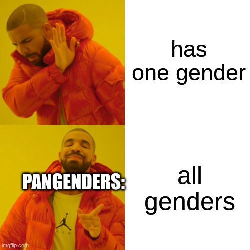 Pangender Meme | has one gender; all genders; PANGENDERS: | image tagged in memes,drake hotline bling | made w/ Imgflip meme maker
