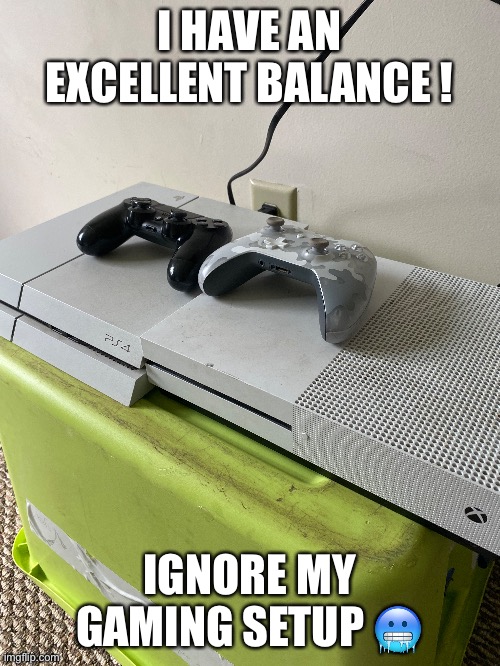 Bruy | I HAVE AN EXCELLENT BALANCE ! IGNORE MY GAMING SETUP 🥶 | image tagged in funny,gaming,balls | made w/ Imgflip meme maker