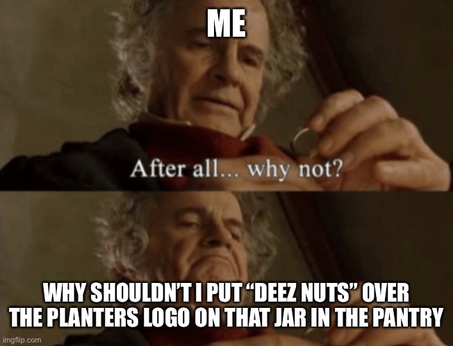 same difference |  ME; WHY SHOULDN’T I PUT “DEEZ NUTS” OVER THE PLANTERS LOGO ON THAT JAR IN THE PANTRY | image tagged in after all why not,bilbo,deez nuts,nuts | made w/ Imgflip meme maker