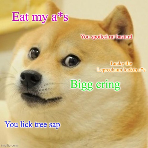 Doge Meme | Eat my a*s You spoiled rat bastard Bigg cring You lick tree sap Lucky the Leprechaun lookin a*s | image tagged in memes,doge | made w/ Imgflip meme maker