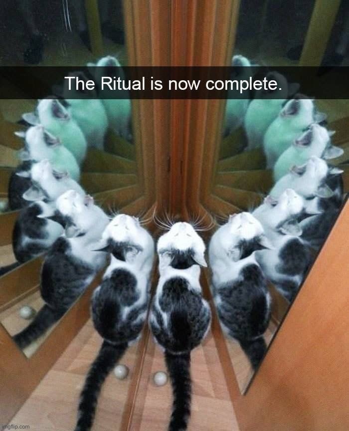 The ritual is now complete Blank Meme Template